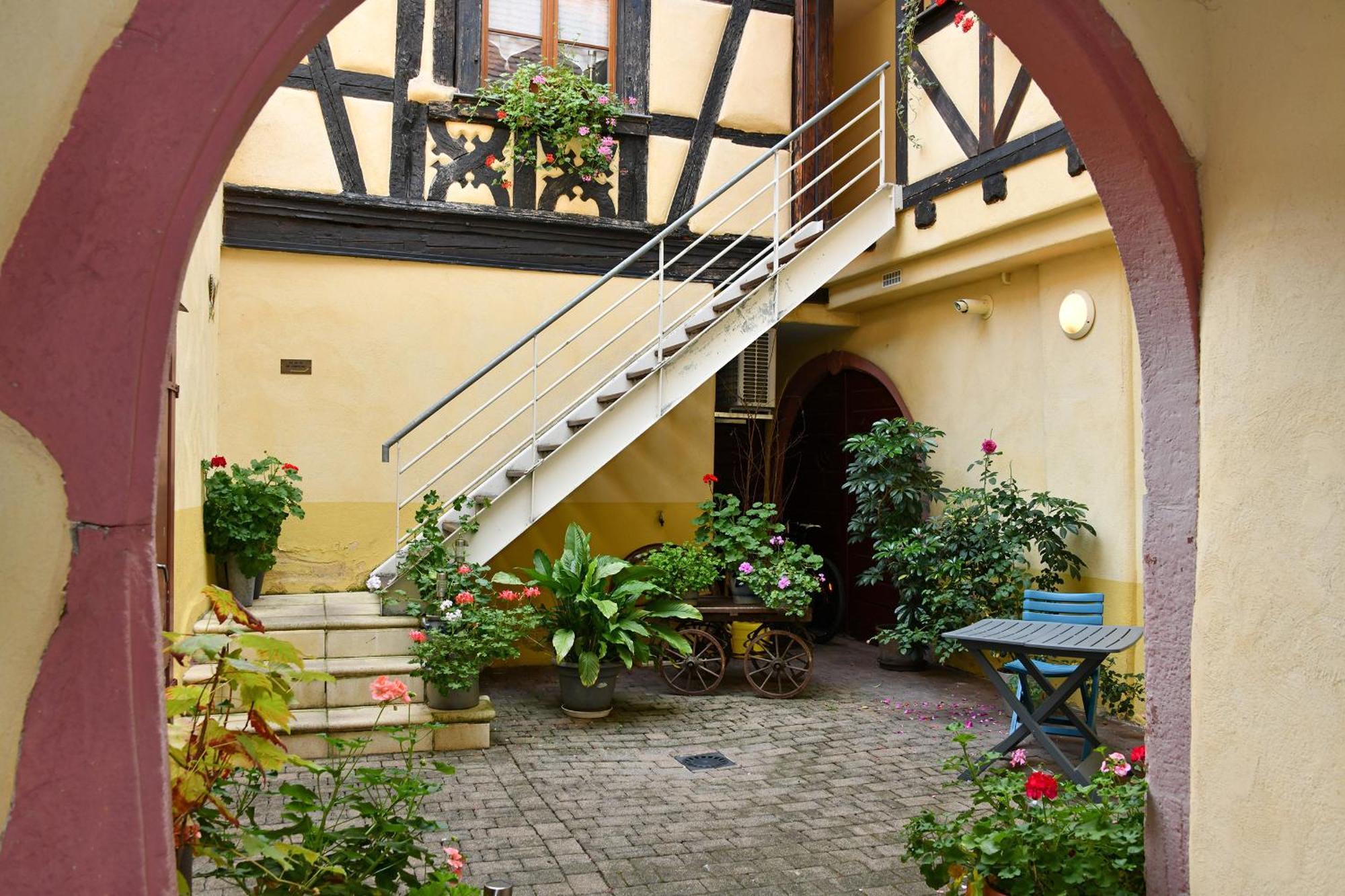 Au Nid D'Hirondelles Apartamento Ribeauvillé Exterior foto