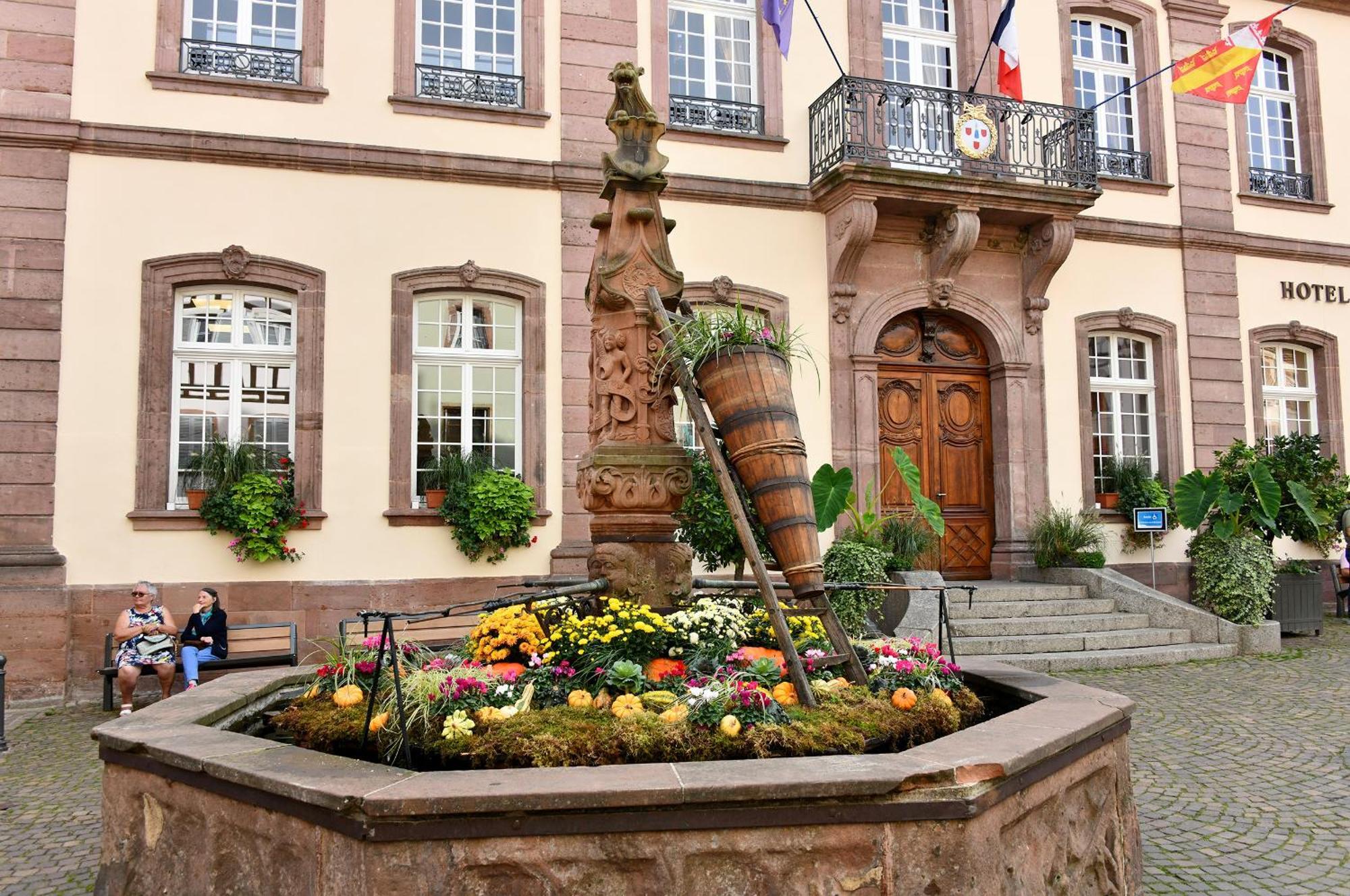 Au Nid D'Hirondelles Apartamento Ribeauvillé Exterior foto