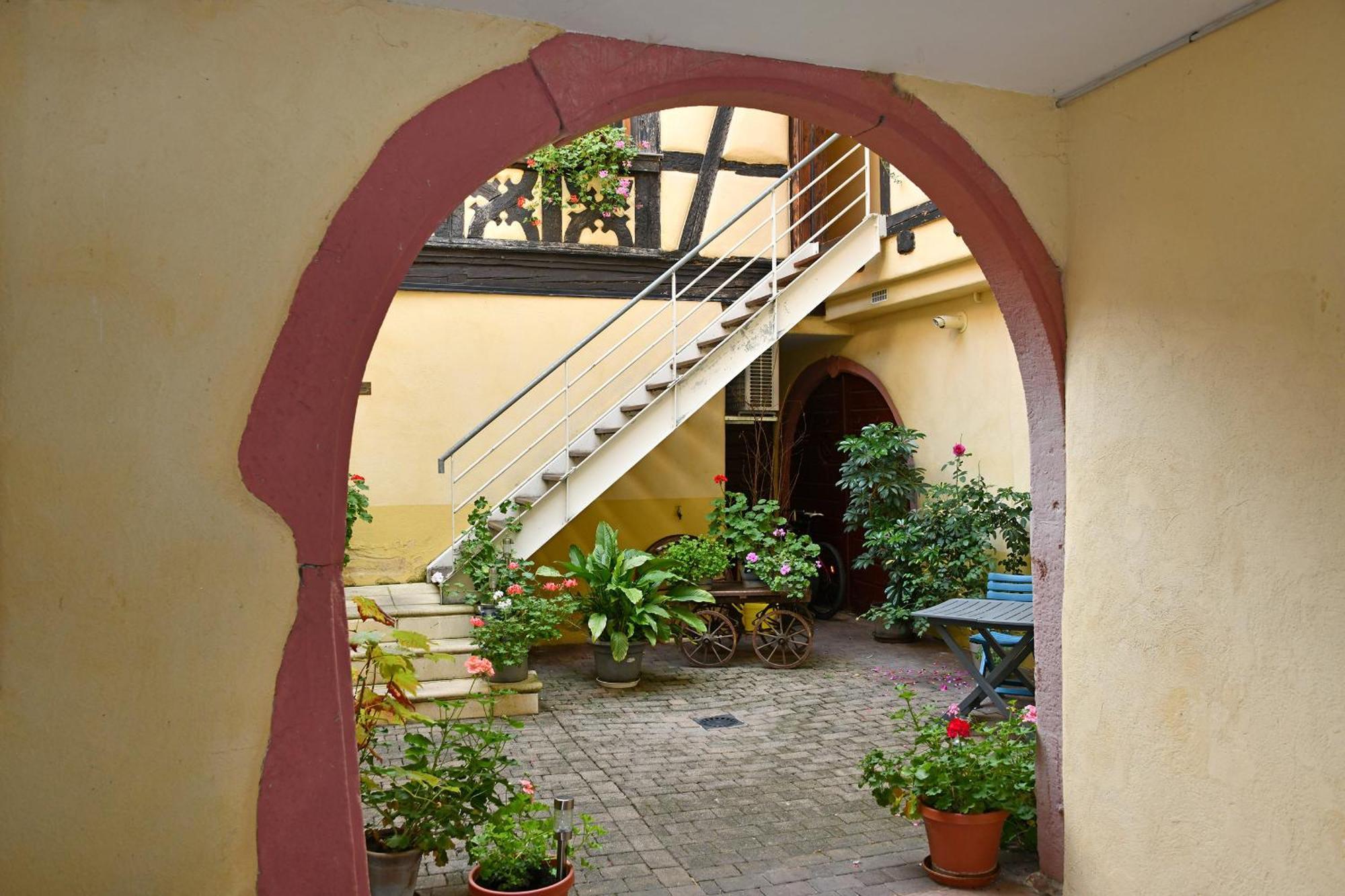 Au Nid D'Hirondelles Apartamento Ribeauvillé Exterior foto